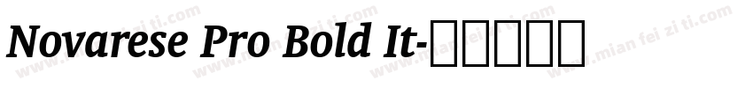 Novarese Pro Bold It字体转换